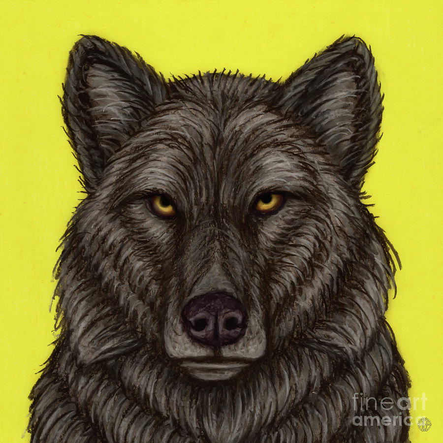 Vancouver Coastal Island Wolf  Painting by Amy E Fraser