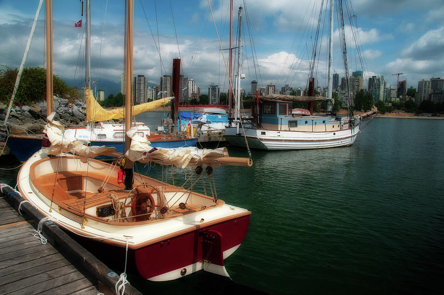 Vancouver Shoreline Photograph by Angelito De Jesus