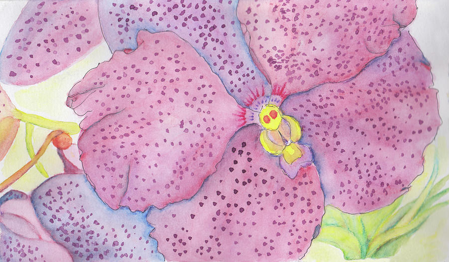 Vanda Closeup Painting by Anne Katzeff