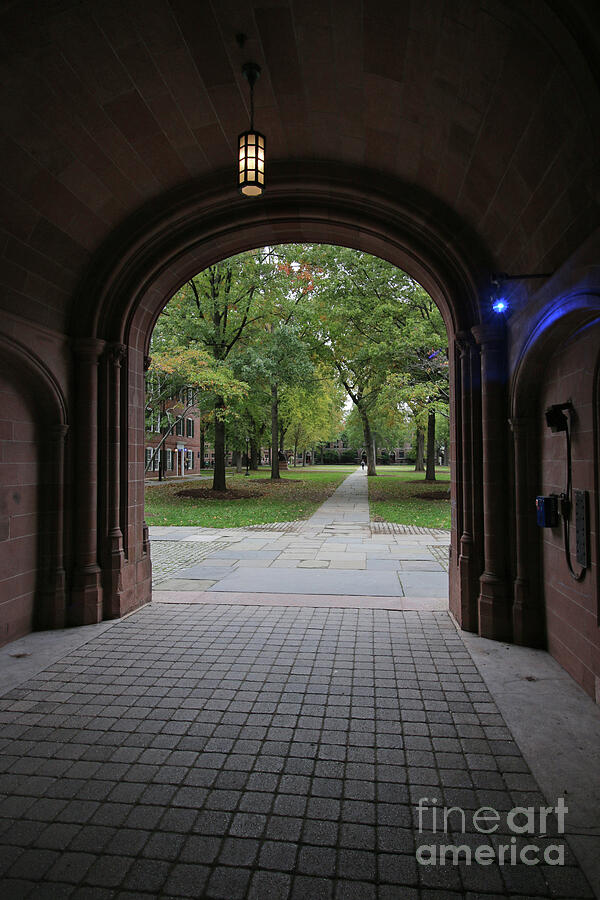 Vanderbilt Hall Yale University 2853 Photograph