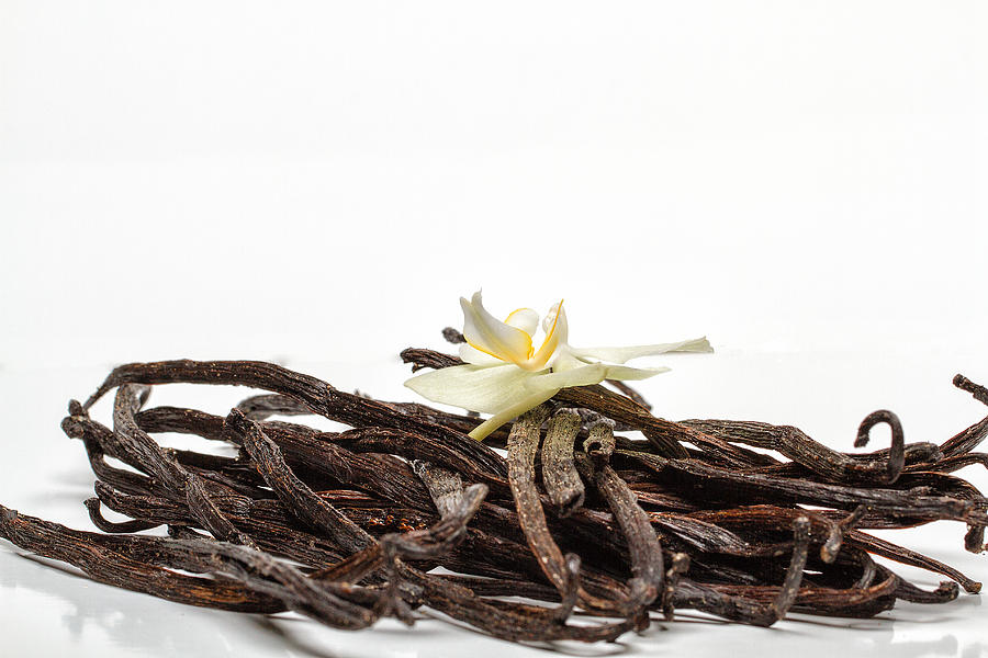 Vanilla in heap with orchid flower Photograph by Jean-Marc PAYET