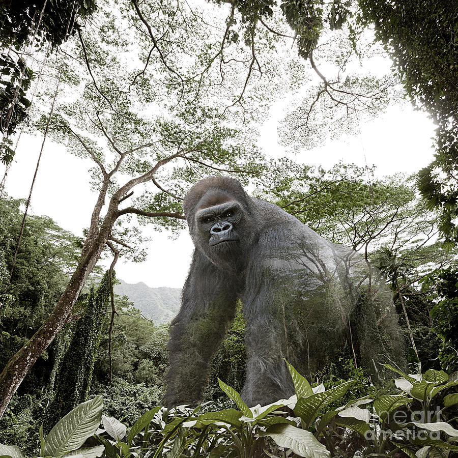 Fantasy Photograph - Vanishing Gorilla by John Lund