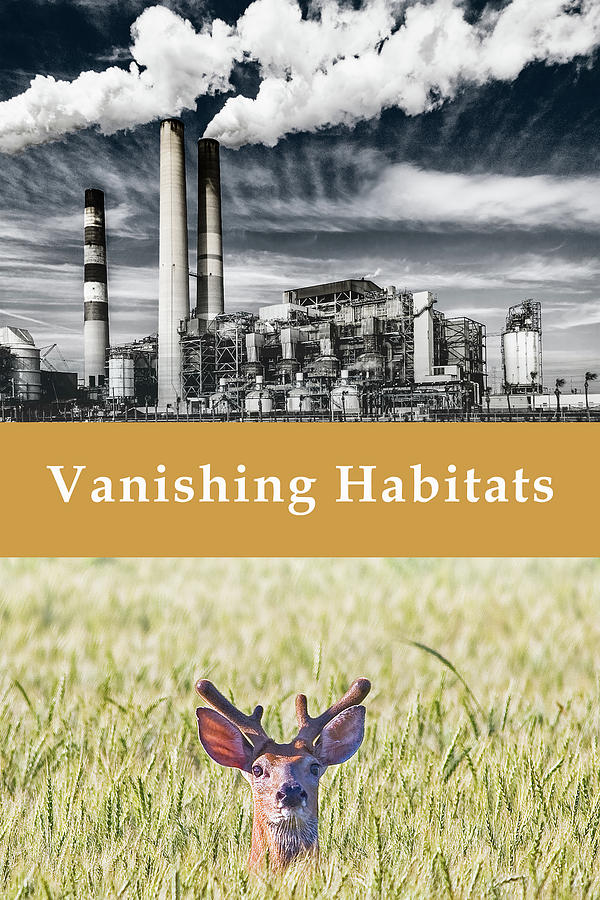 Vanishing Habitats Photograph by Tom Mc Nemar