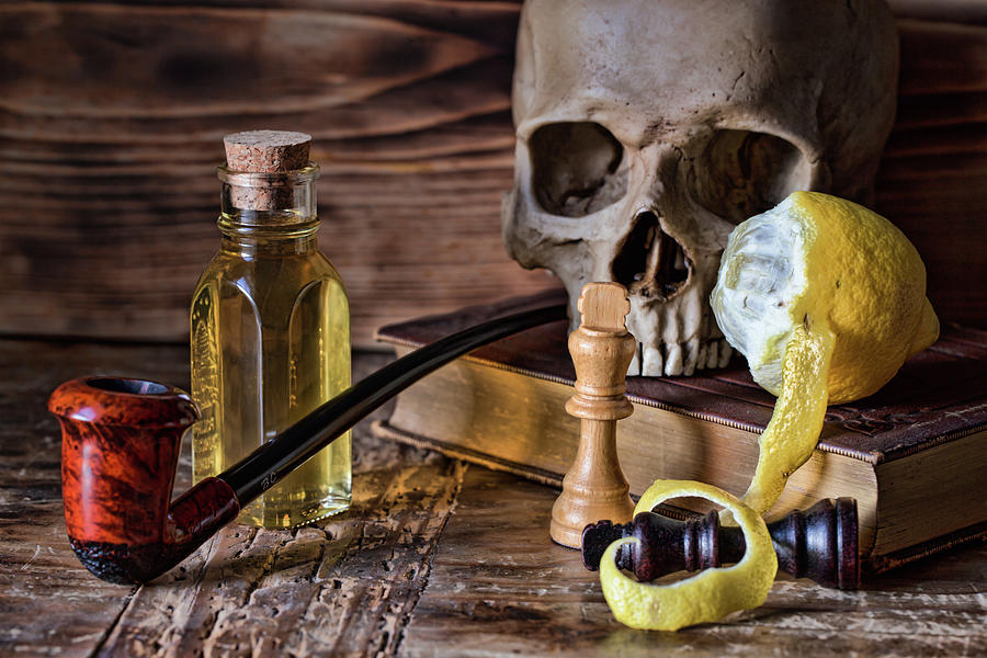 Vanitas Still Life Photo Photograph by Andrew Pacheco