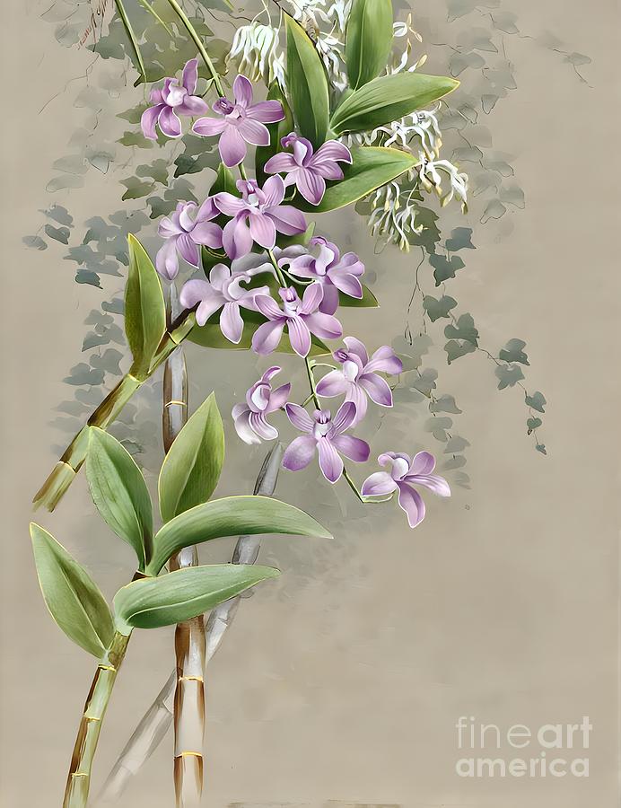 Vappodes Bigibba  And Dockrillia Teretifolia Orchidaceae Queensland Painting