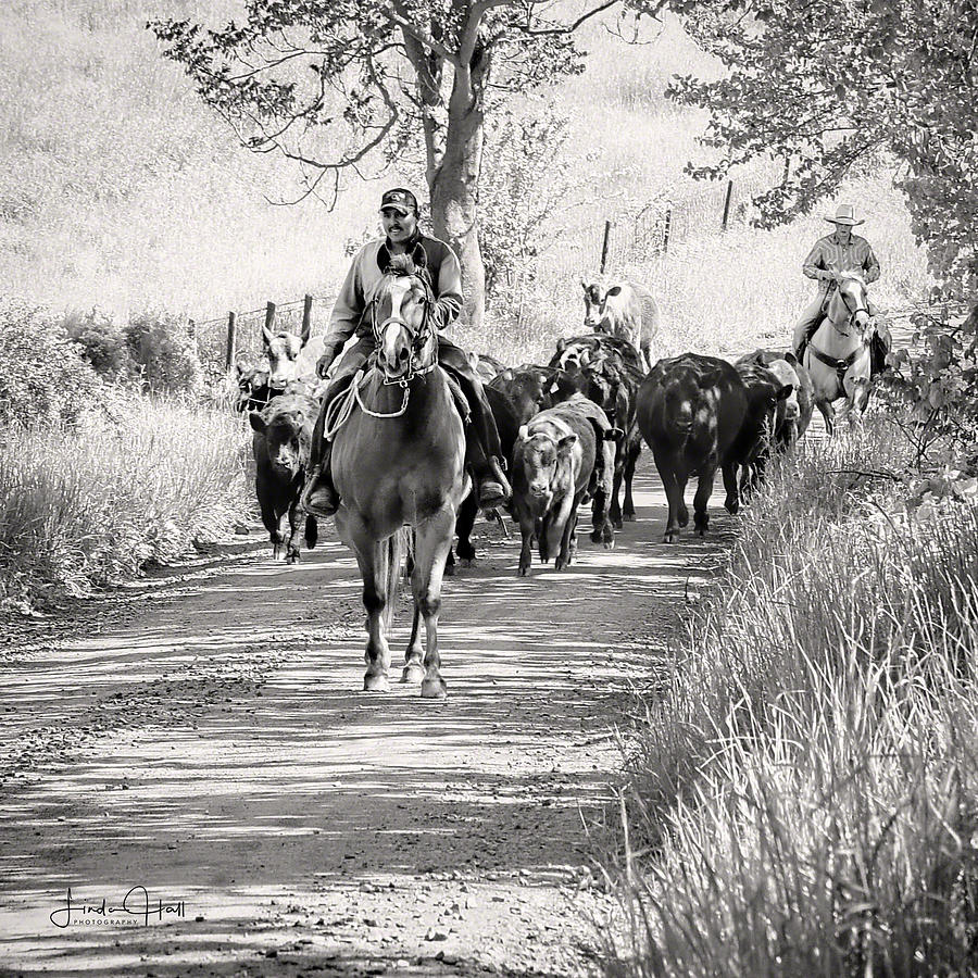 Horse Photograph - Vaqueros by Linda Lee Hall
