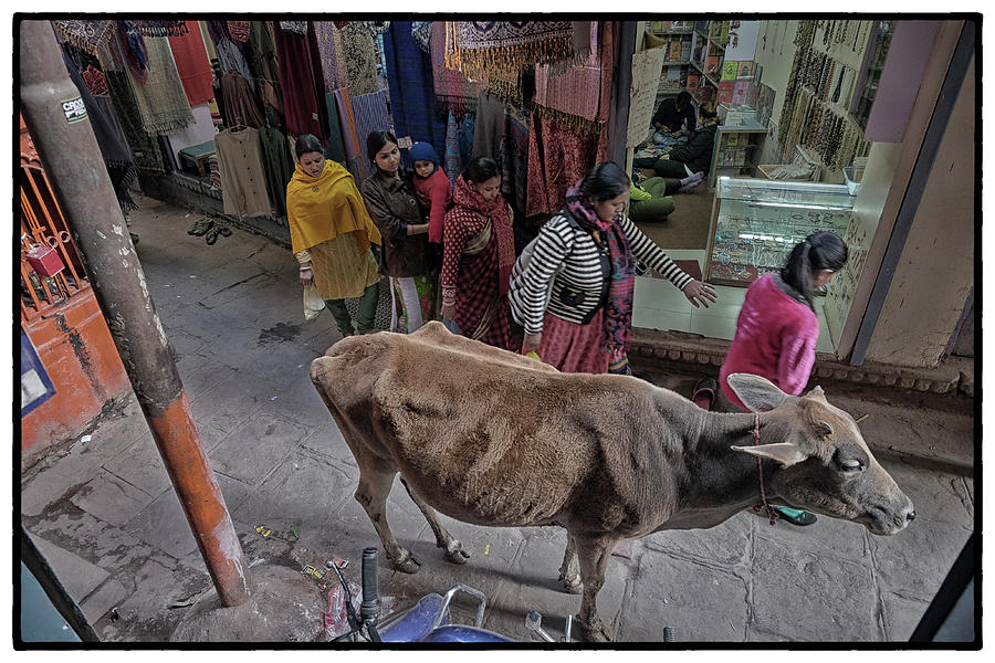 Varanasi Collection 12 Photograph by David Longstreath