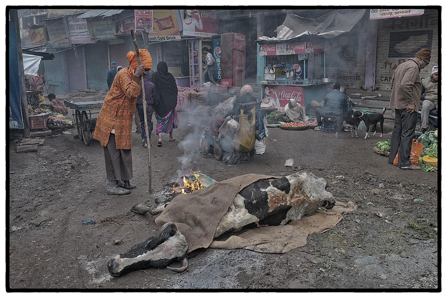 Varanasi Collection 21 Photograph by David Longstreath