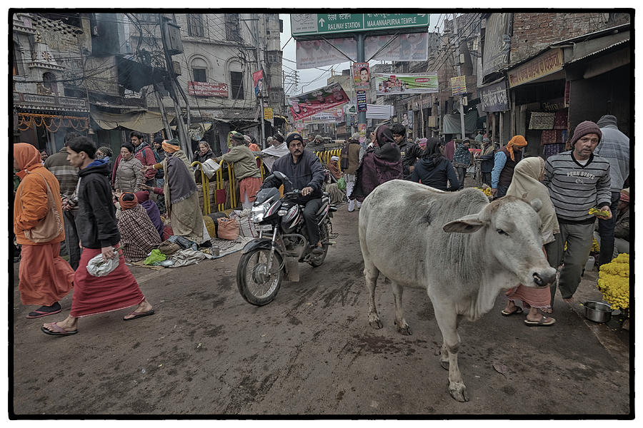 Varanasi Collection 22 Photograph by David Longstreath