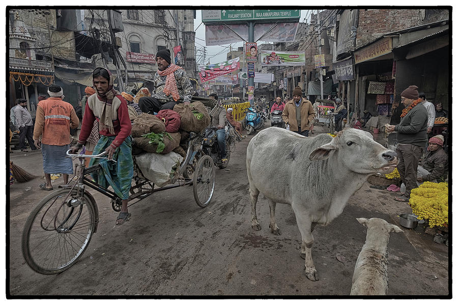 Varanasi Collection 24 Photograph by David Longstreath