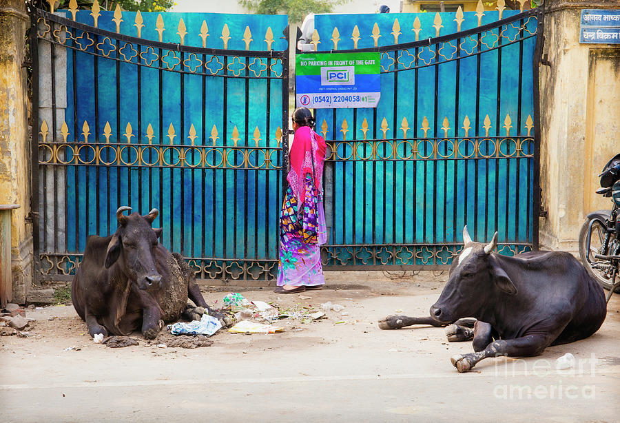 Varanasi Photograph by David Little-Smith