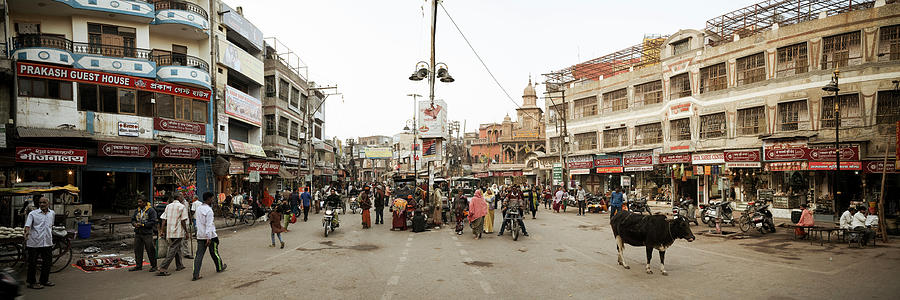 Varanasi street scene india with cows 2 Photograph by Sonny Ryse
