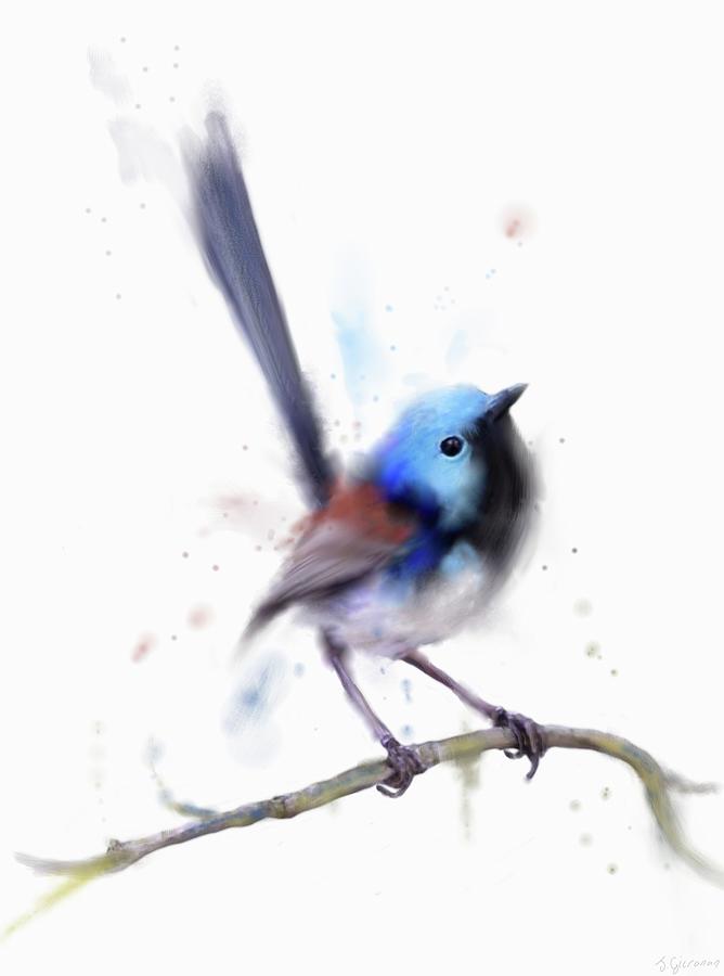 Bird Painting - Fairy Wren  by Joe Gilronan
