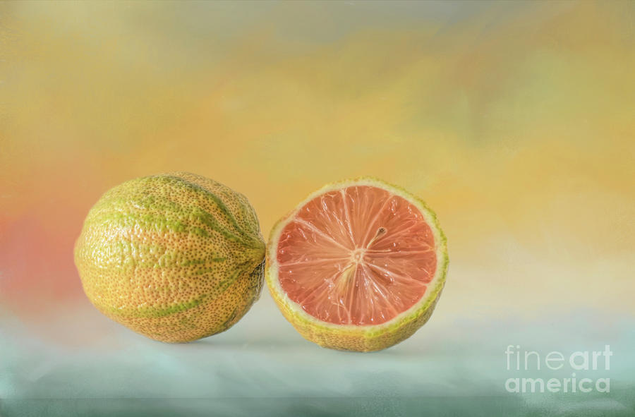 Fruit Mixed Media - Variegated Pink Lemon by Elisabeth Lucas