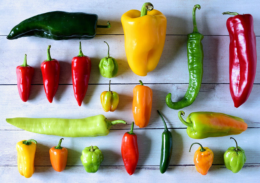 Variety of fresh peppers Photograph by Photo by Cathy Scola