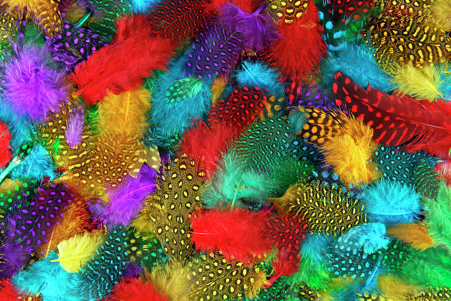 Various color feather background Photograph by Severija Kirilovaite