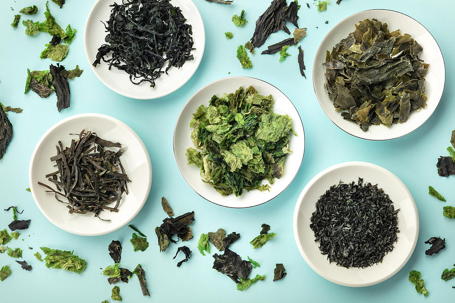 Various dry seaweed, sea vegetables, shot from above on a teal background Photograph by Plateresca