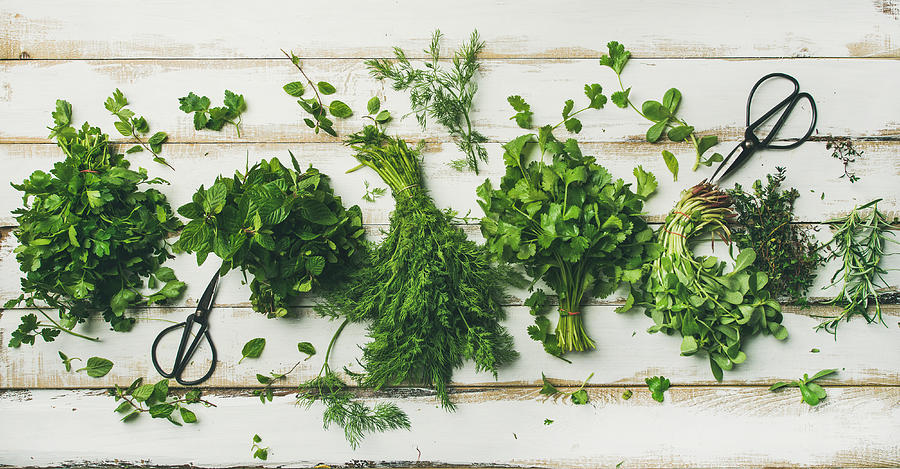 Various fresh green kitchen herbs Photograph by Foxys_forest_manufacture
