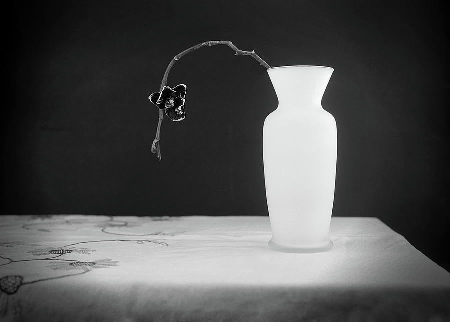 Vase and flower Photograph by Rudy Umans