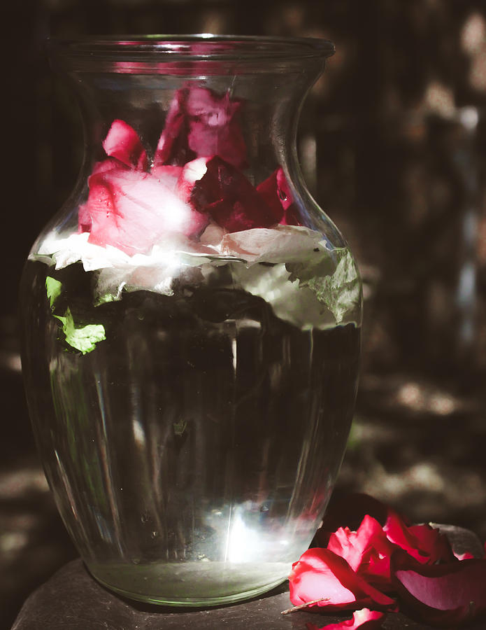 Vase of Rose Petals Photograph by W Craig Photography