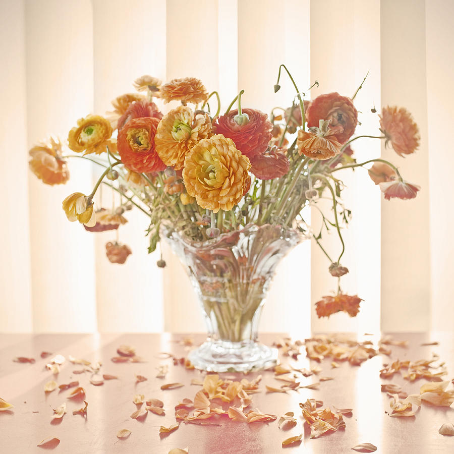 Vase of wilting flowers on table Photograph by David Oxberry