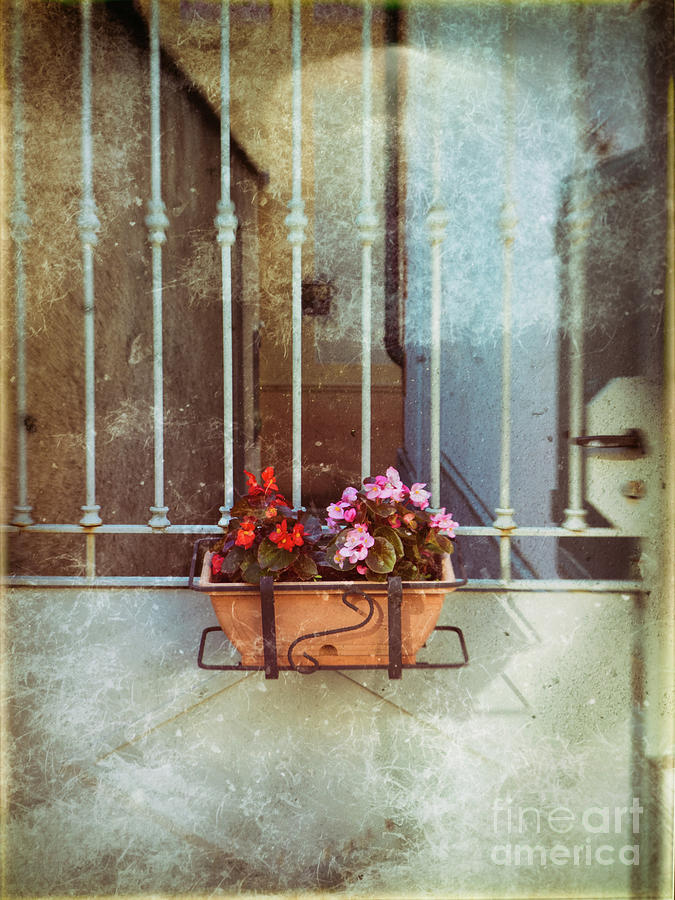 Vase with flowers on a gate Photograph by Silvia Ganora