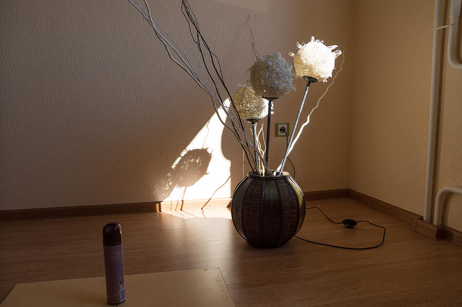 Vase with flowers on the floor, interesting sunset lighting, home decoration & design Photograph by Vyacheslav Argenberg Vase with flowers on the floor, interesting sunset lighting, home decoration & design Photograph by Vyacheslav Argenberg
