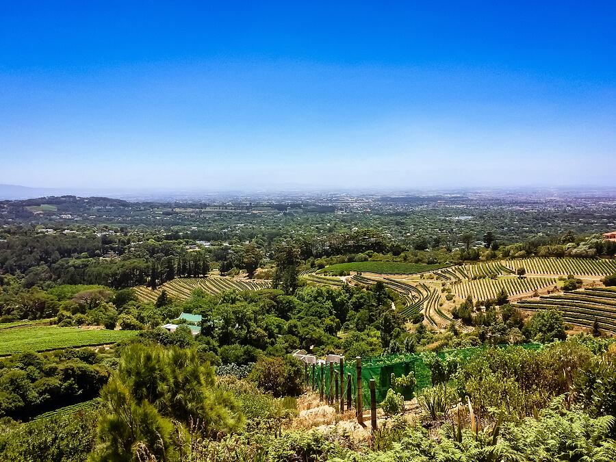 Vast Vineyards and City Skyline Stellenbosch, South Africa Photograph by Travel Essayist Vast Vineyards and City Skyline Stellenbosch, South Africa Photograph by Travel Essayist