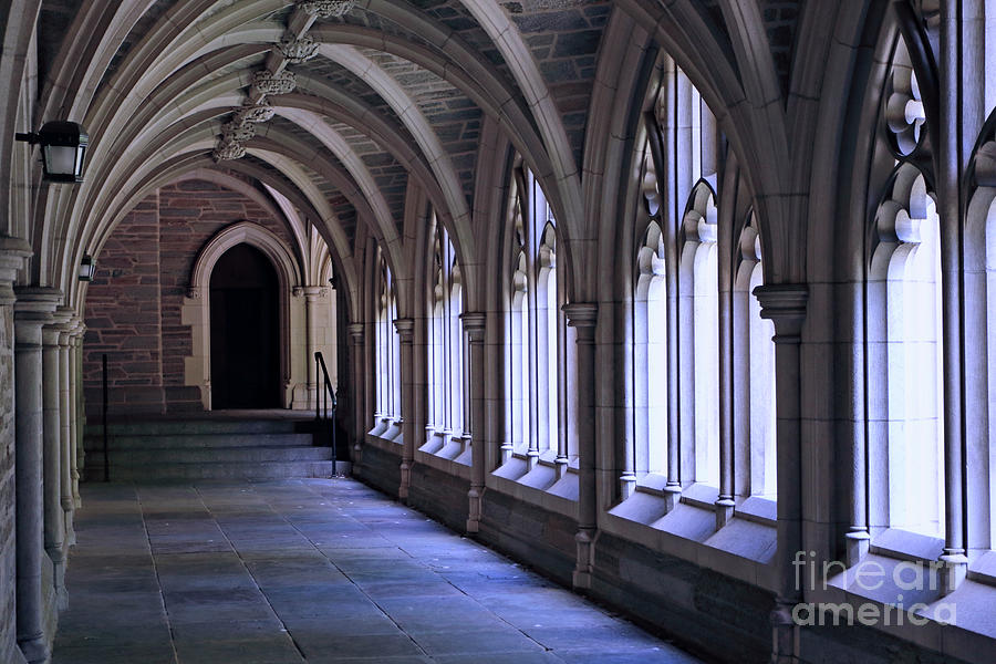 Vaulted Arches Princeton University Photograph by John Van Decker