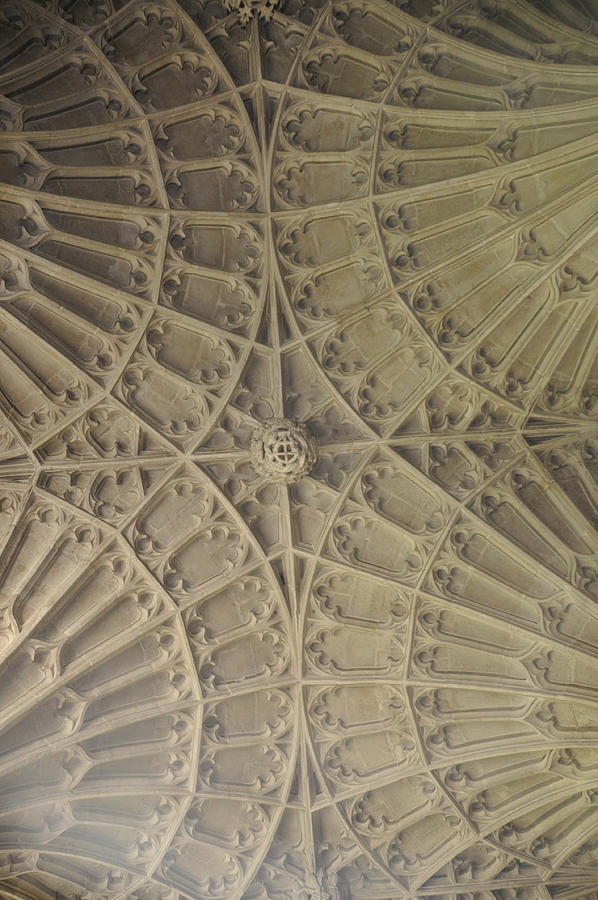 Vaulted Ceiling Photograph by Wincotts