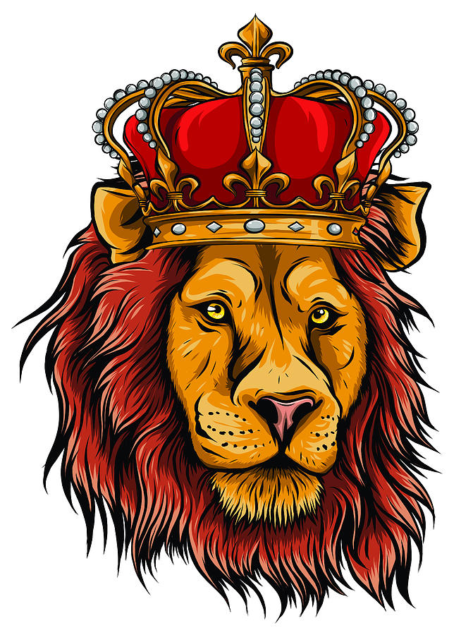 Vector Color King Lion Illustration on white background Digital Art by Dean  Zangirolami - Pixels