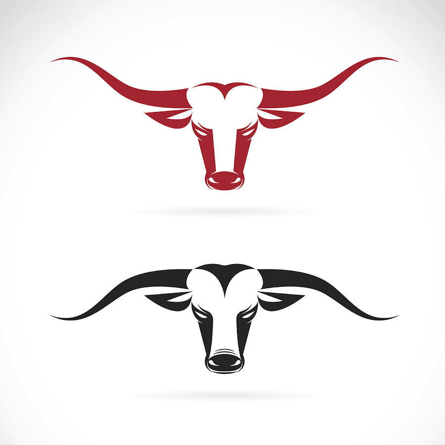 Vector image of an bull head on white background Drawing by Yod67