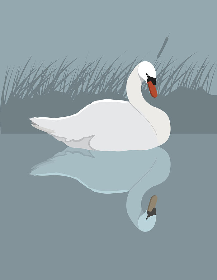 Vector Swan Drawing by Tharrison