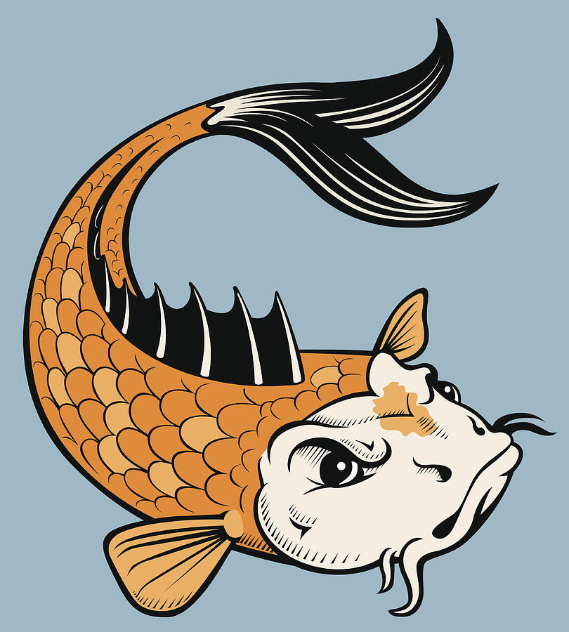 Vector Tattoo Style Koi Fish Drawing by Amdandy