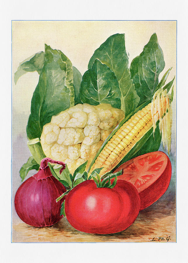 Vegetable Digital Art - Vegetable illustration - Vintage Farm Illustration - The Open Door to Independence by Studio Grafiikka