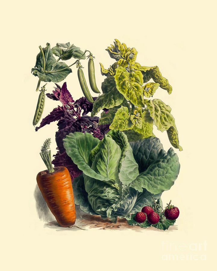 Vegetable Digital Art - Veggie Lover by Madame Memento