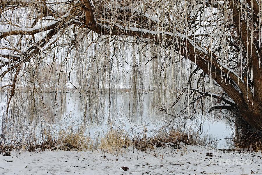  Veiled Winter River Photograph by Carol Groenen