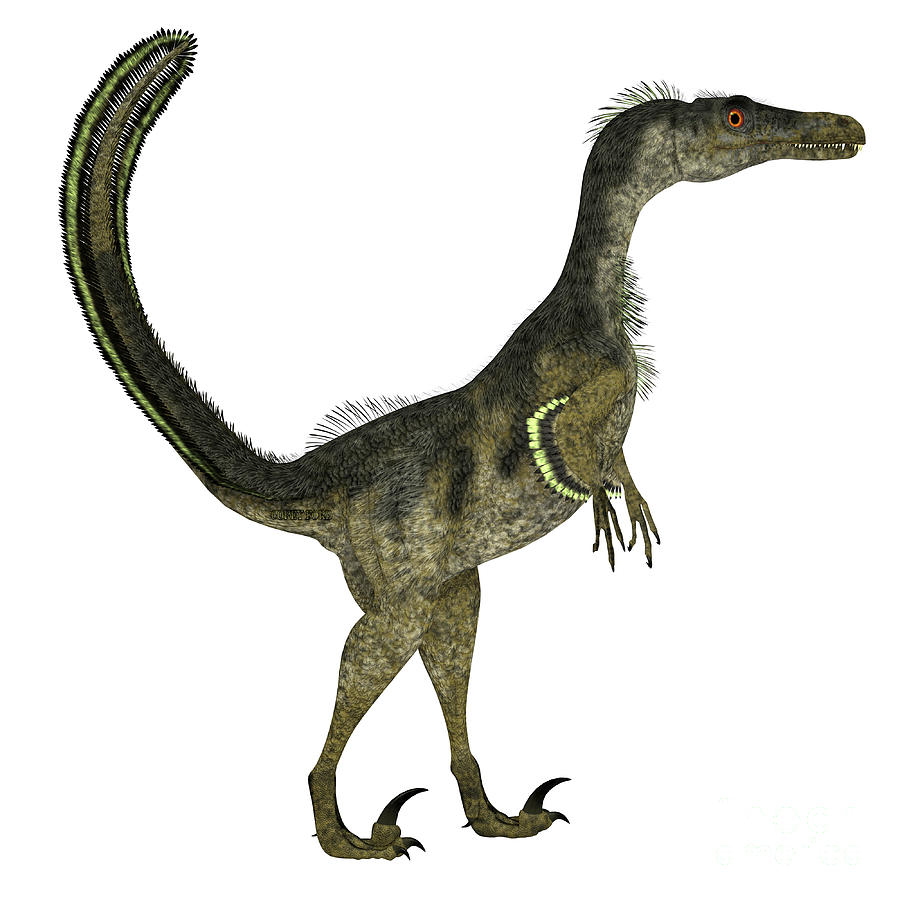 Velociraptor Dinosaur Side Profile Digital Art by Corey Ford