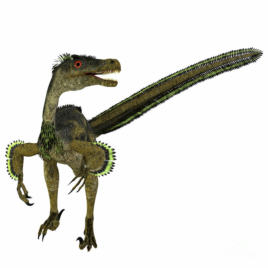 Velociraptor Dinosaur Tail Digital Art by Corey Ford
