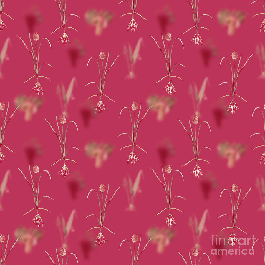 Veltheimia Abyssinica Botanical Seamless Pattern In Viva Magenta N.1184 Mixed Media