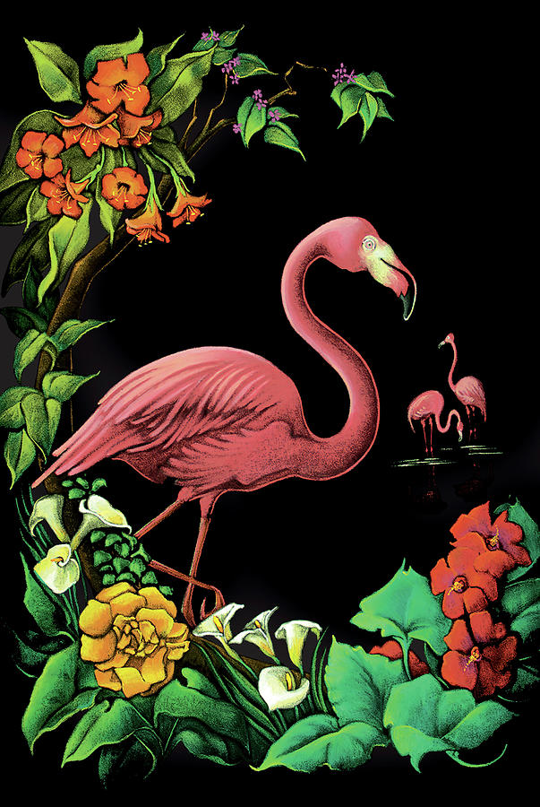 Velvet Flamingo Pastel by Steven Stines