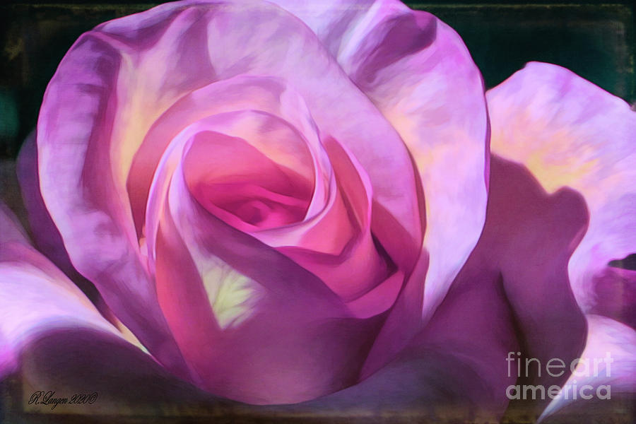 Velvet Rose Digital Art by Rebecca Langen