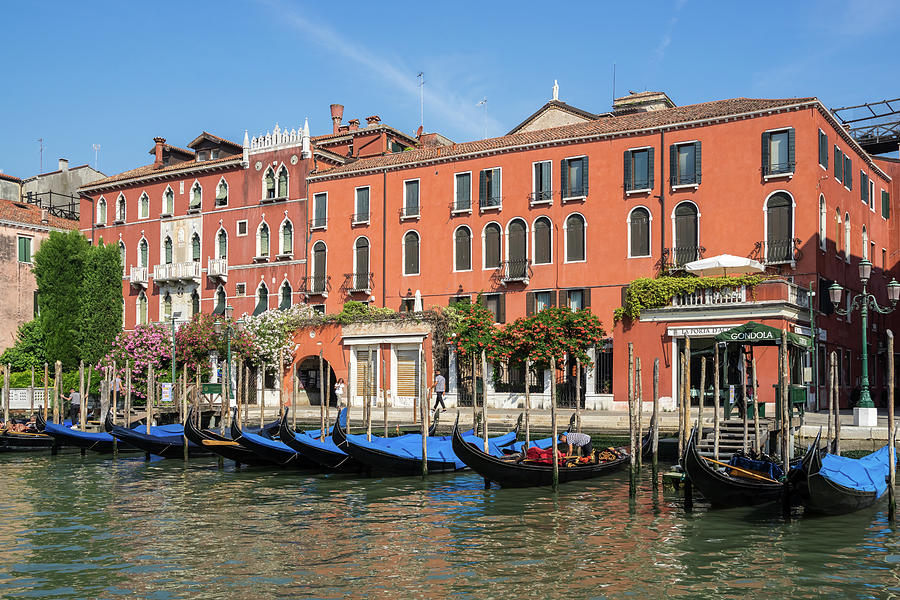 Venetian Gondolas on the Grand Canal - Boldly Colored Palazzo Facades and Flowers on Riva del Carbon Photograph by Georgia Mizuleva