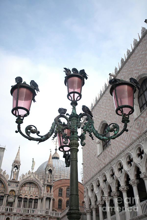 Venetian Lampost Photograph