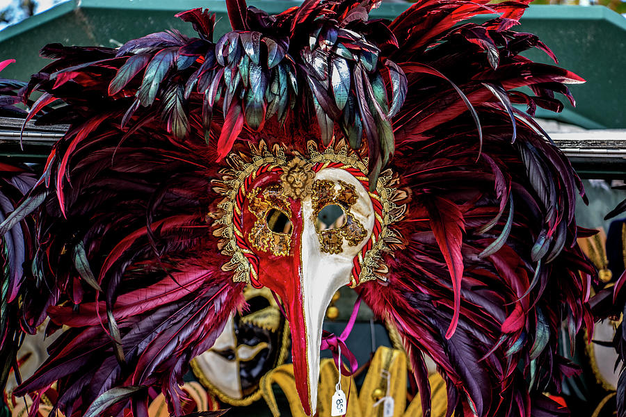 Feather Photograph - Venetian Mask by Jean Haynes