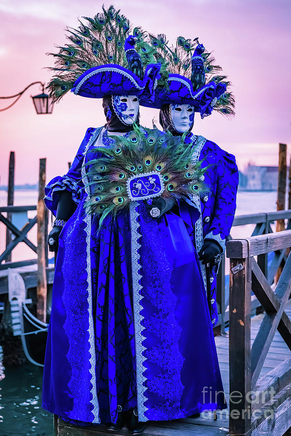Venetian peacock twins Photograph by Lyl Dil Creations
