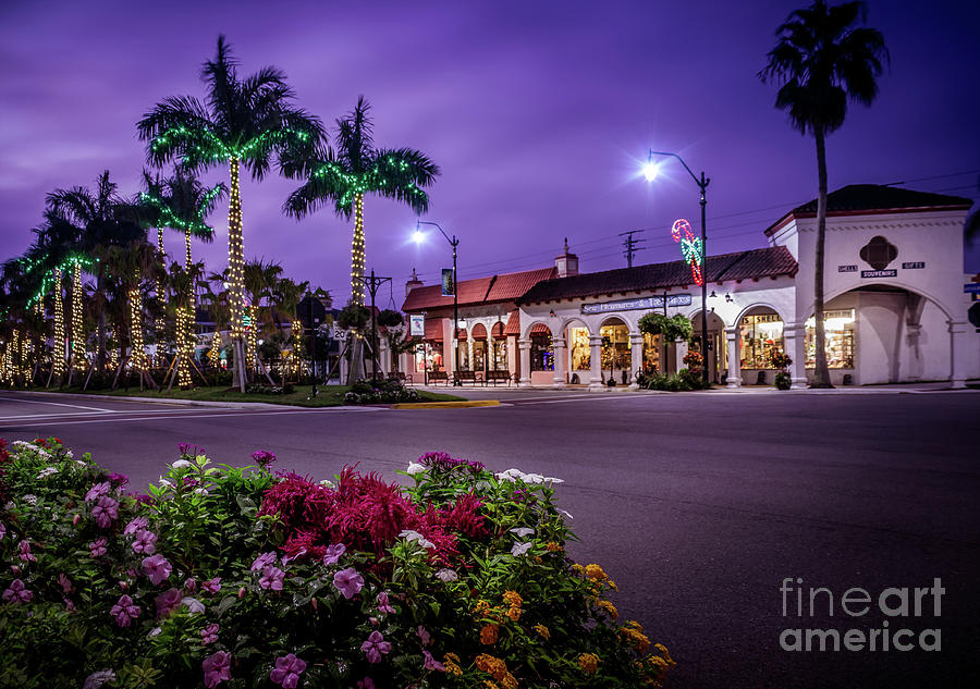 Venice Avenue on Christmas Morning in Venice, Florida Photograph by Liesl Walsh