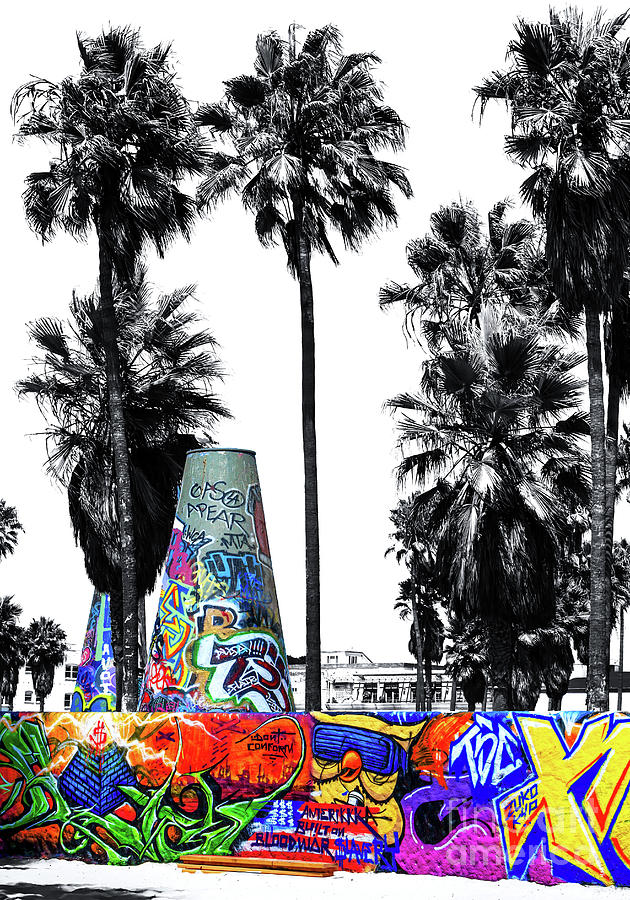 Venice Beach Graffiti Fusion in California Photograph by John Rizzuto