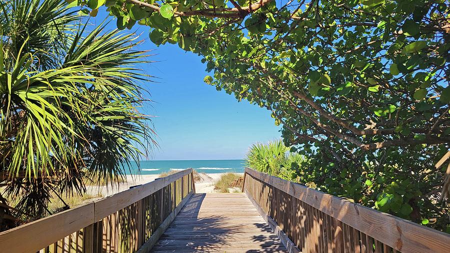 Venice Beach Pathway Photograph by Stephanie McDowell - Fine Art America