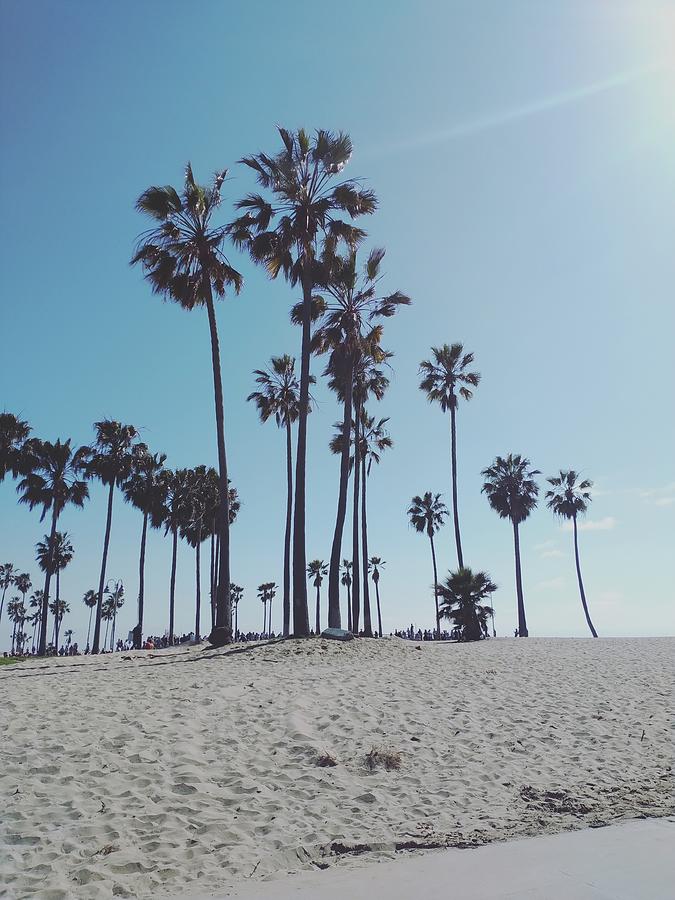 Venice Beach Photograph by Vanessa Kabadayan | Fine Art America